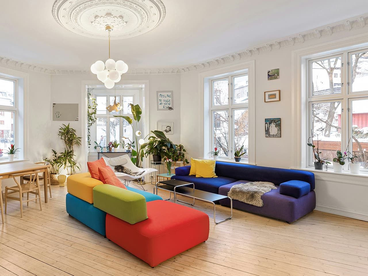 White living room with light wood floors in a turn of the century apartment with big opal glass chandelier and multi coloured sofas.