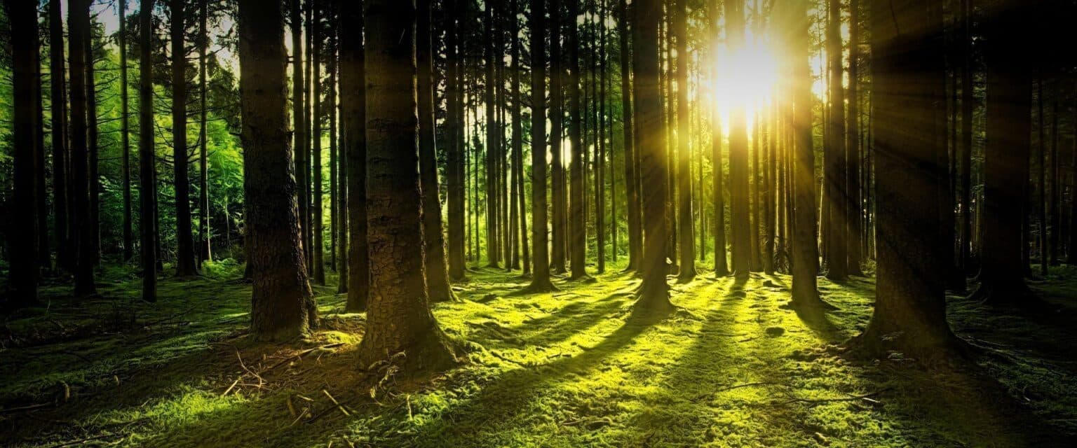 Cibes Corporate Responsibility 1536×640